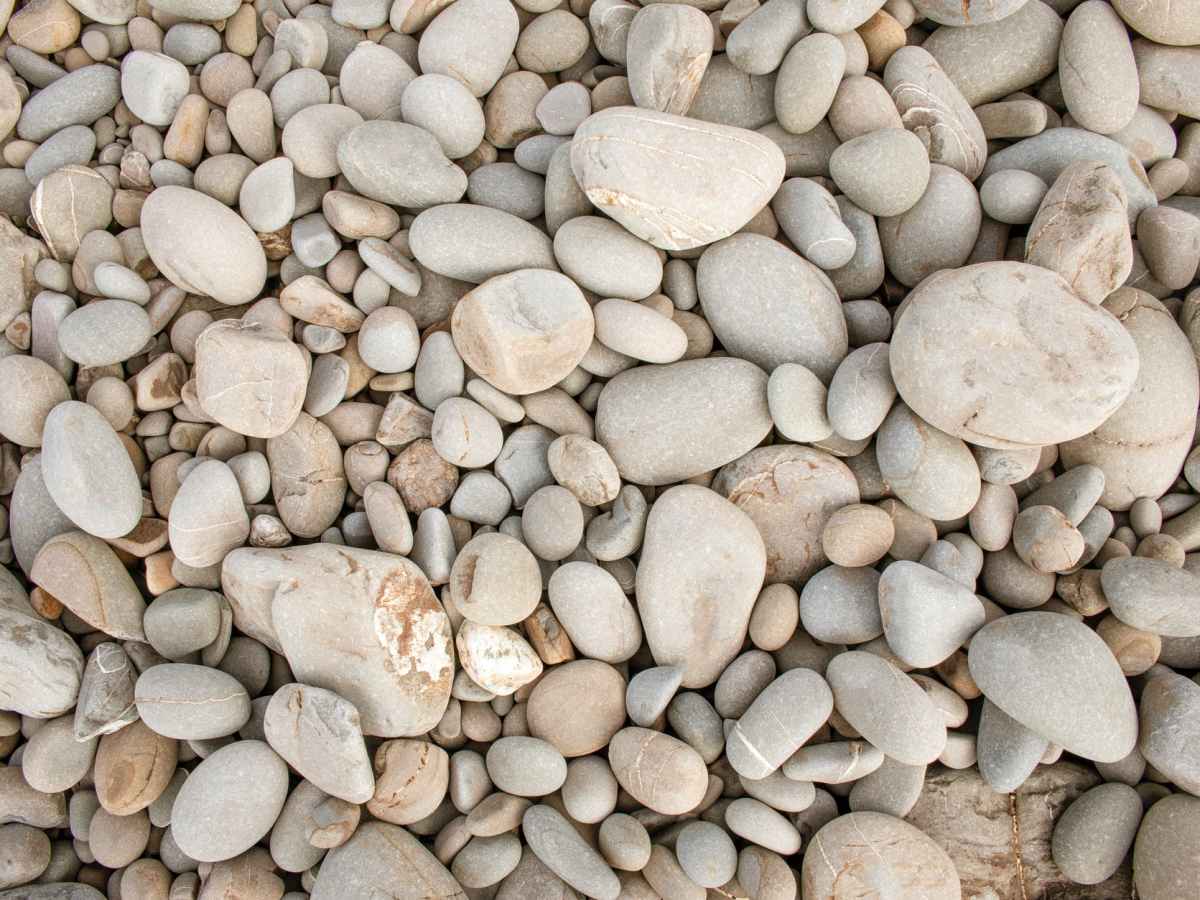 Chapter 14 – The Three Modes of Material&nbsp;Nature