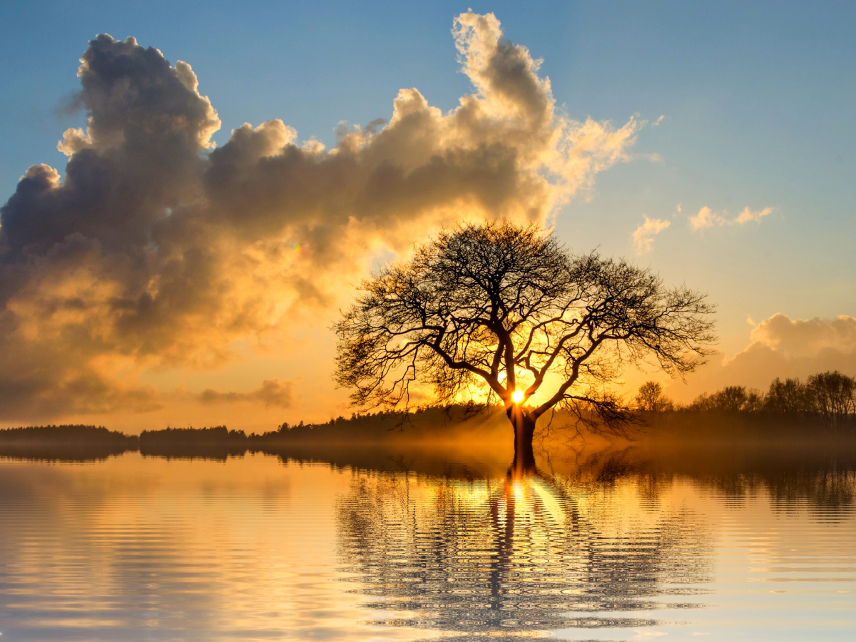 Chapter 15 – The Supreme&nbsp;Person
