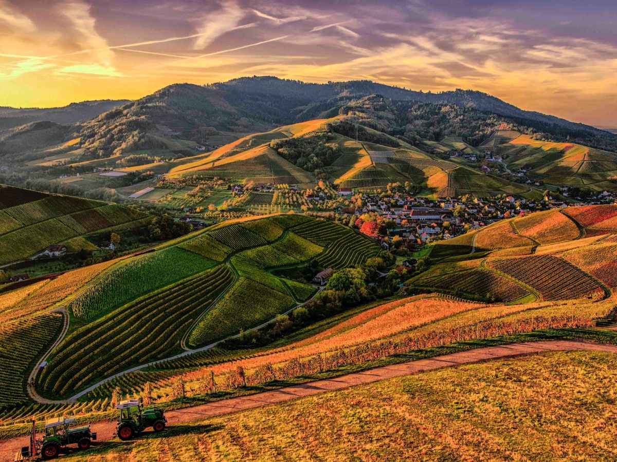 Chapter 18 – The Path to&nbsp;Freedom