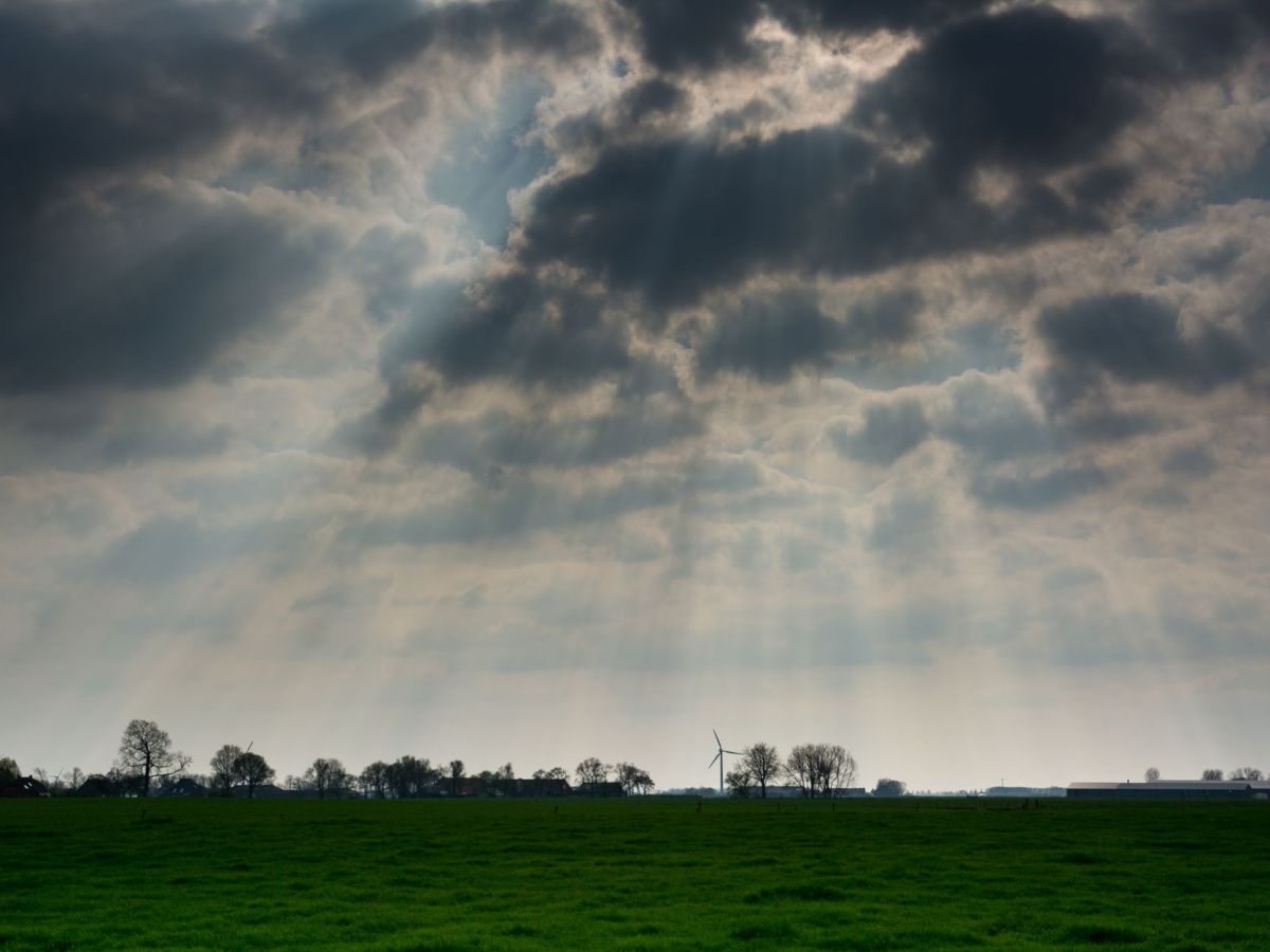 Chapter 16 – The Pious and Impious&nbsp;Natures