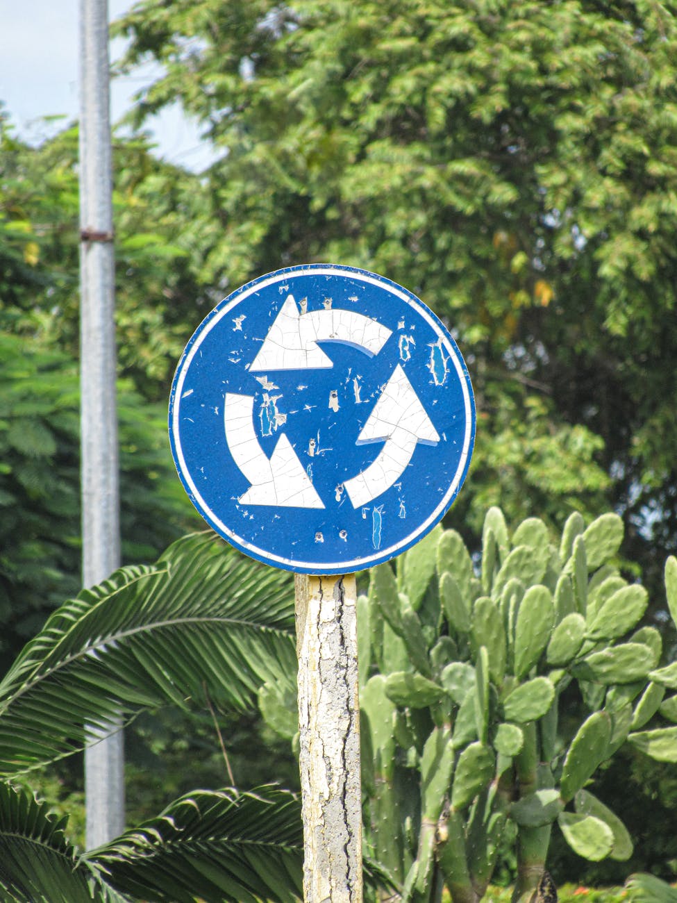 Why I’m not a&nbsp;Naturalist