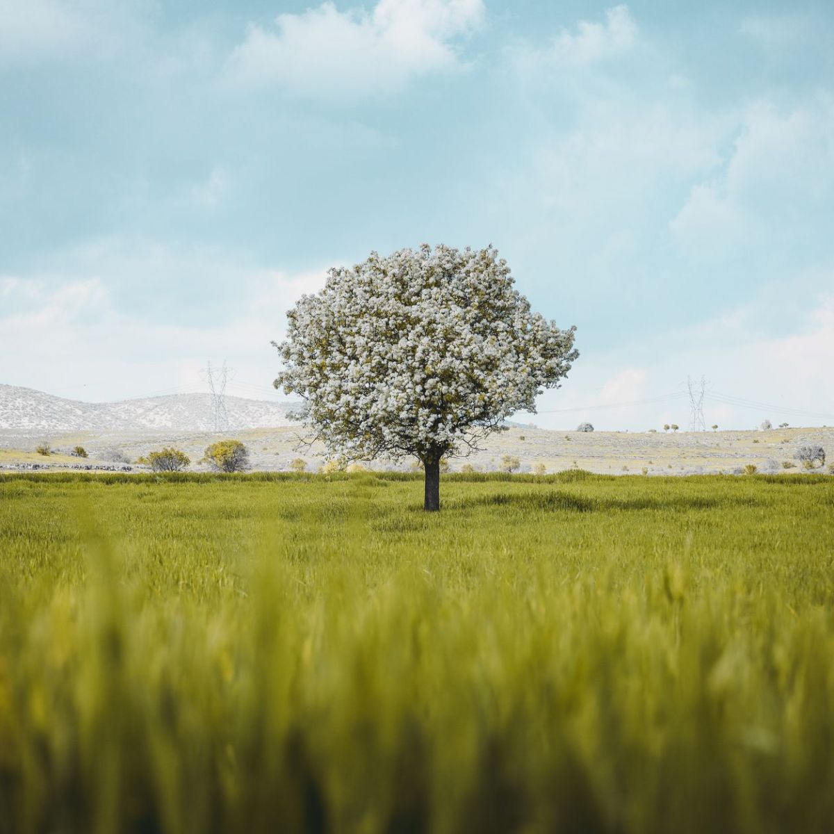 Chapter 11 – The Teachings of Lord&nbsp;Kapila